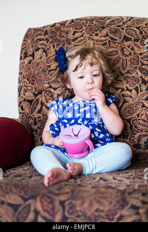 A Caucasian 14 month old female child, wearing a blue dress sits in a chair and eats crackers from a child's container. USA Stock Photo