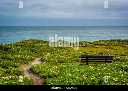 Path and bench on a bluff above the Pacific Ocean, in Santa Cruz, California. Stock Photo