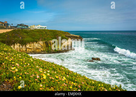 View of bluffs above the Pacific Ocean in Santa Cruz, California. Stock Photo