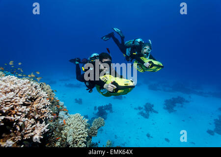 Divers with diver propulsion vehicles exploring a coral reef, Soma Bay, Hurghada, Egypt, Red Sea Stock Photo