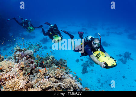 Divers with diver propulsion vehicles exploring a coral reef, Soma Bay, Hurghada, Egypt, Red Sea Stock Photo