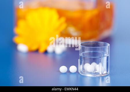 Homeopathic pills in plastic container, in front of Calendula Officinalis plant extract Stock Photo