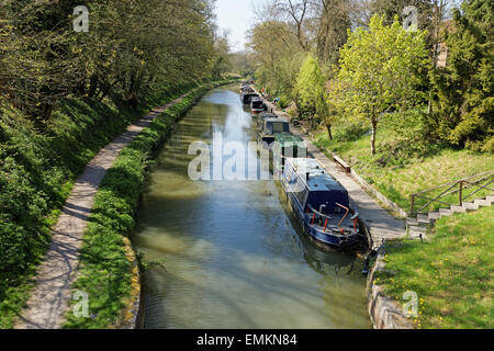 Narrow and wide beam canal boats moored on Kennet and Avon Canal Stock Photo