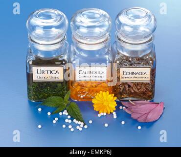 Various plant extract in bottles, Urtica Urens, Calendula Officinalis, Echinacea Angustifolia and homeopathic medication pills i Stock Photo