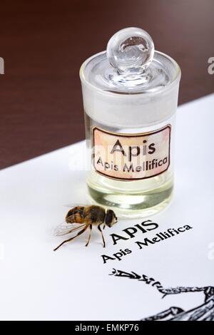 Apis Mellifica sheet, the real bee and poison extract in glass bottle Stock Photo