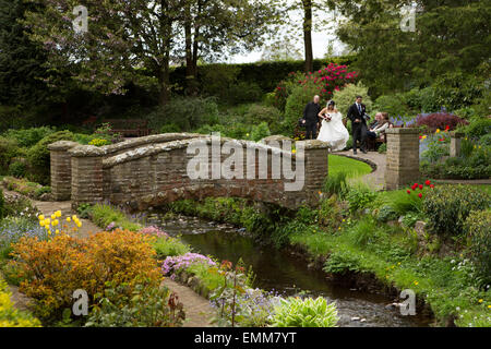 UK, England, Lancashire, Ribble Valley, Waddington, wedding couple having photographs taken in park Stock Photo