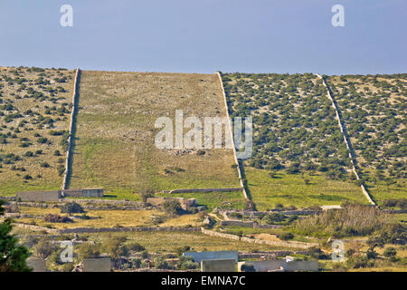 Walls of Pag island stone desert, traditional architecture of Croatia Stock Photo
