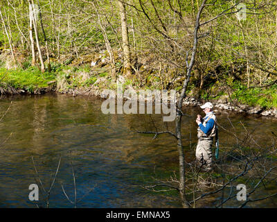 Fly fisherman on the river Wye upstream of Ashford in the Water,Peak District,Derbyshire,England, UK. Stock Photo