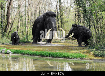 Wooly Mammoth Family near Water Edge Stock Photo