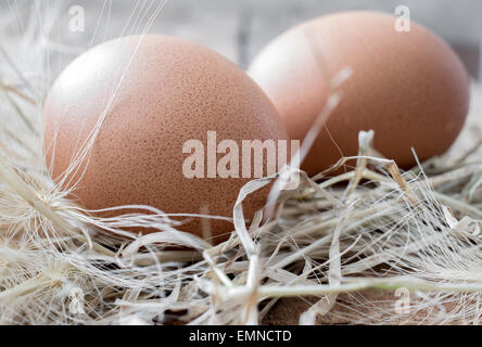 Two chicken eggs in the straw on a wooden table Stock Photo