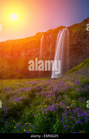 Seljalandsfoss Waterfall at sunset, Iceland Stock Photo