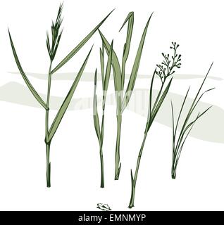 Vector illustration of isolated grass blades. Stock Vector