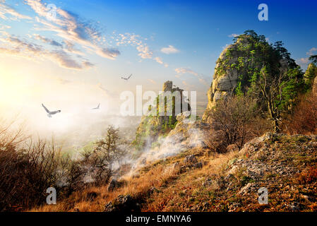 Birds over big cliffs in the autumn morning Stock Photo