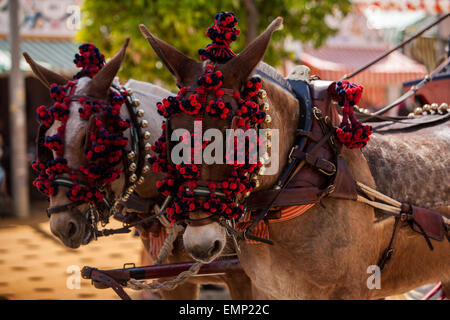 Seville, Andalucia, Spain. 22nd Apr, 2015. Two mules embellished at the 'Feria de Abril' (April's Fair), Seville, Spain, 22 april, 2015. Credit:  Daniel González Acuña/Alamy Live News Stock Photo