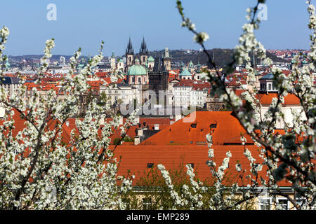 Panorama of Prague,view from Petrin Hill blooming, UNESCO town Czech Republic Stock Photo