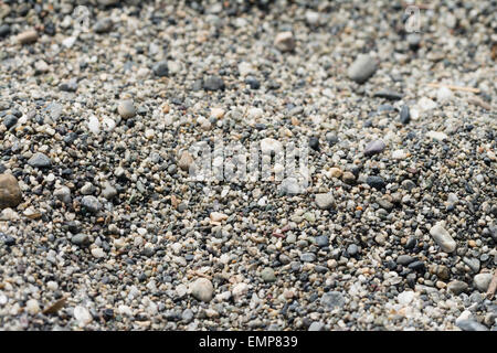 Many small pebbles on a beach. Stock Photo