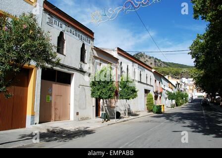 Aniseed (Anis) production plant, Rute, Cordoba Province, Andalusia, Spain, Western Europe. Stock Photo