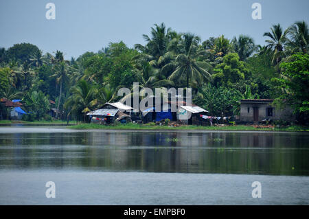 Beautiful view of backwaters and coconut plants Stock Photo