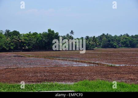 The land is ready for agriculture. Stock Photo