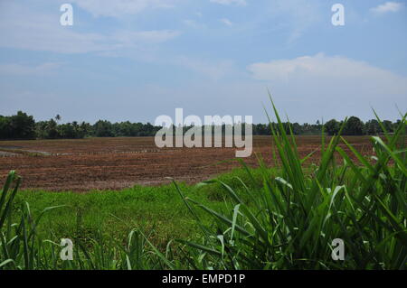 Prepared land for agriculture. Stock Photo