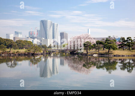 Hamarikyu Gardens with Tokyo Bay district in the distance in Tokyo, Japan Stock Photo