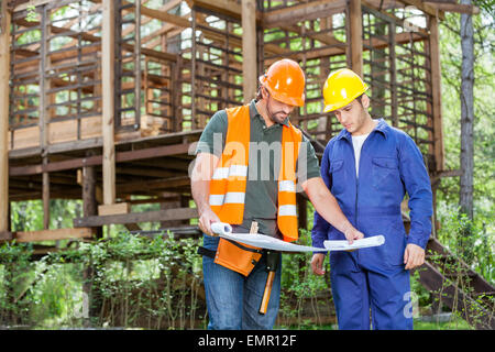 Architects Analyzing Blueprint Outside Incomplete Wooden Cabin Stock Photo
