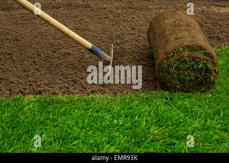 Gardener applying turf rolls in the backyard Stock Photo