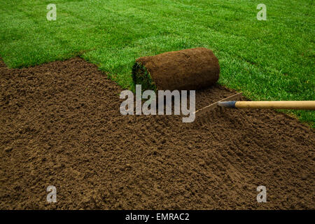 Gardener applying turf rolls in the backyard Stock Photo