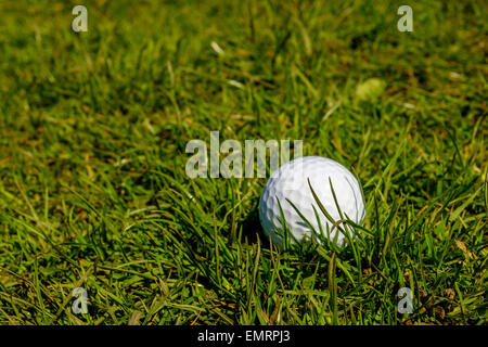 A plain white golf ball in the rough on a sunny day, Glasgow, Scotland, UK Stock Photo