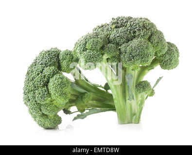 Broccoli isolated on white background Stock Photo