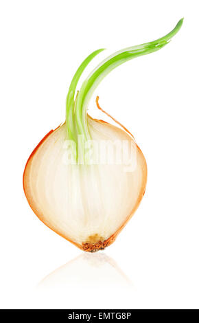 Half of onion isolated on white background Stock Photo
