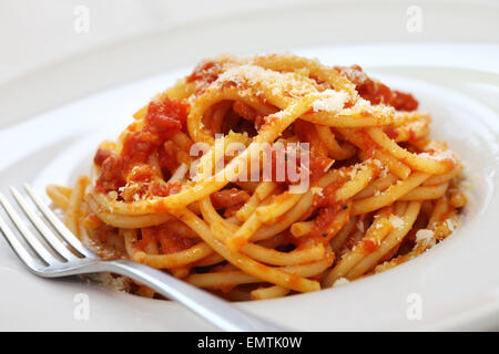 bucatini alla amatriciana, italian tomato sauce pasta Stock Photo