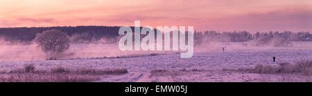 Winter, very cold morning Stock Photo