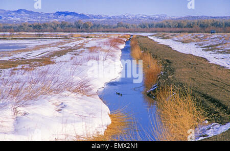 Bosque del Apache National Wildlife Refuge in southern New Mexico near the town of San Antonio. Stock Photo