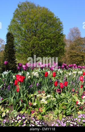 London, UK. 23 April, 2015. Spring Sunshine in the Royal Park of Hyde Park, London on April 23rd 2015 Photo by Credit:  KEITH MAYHEW/Alamy Live News Stock Photo
