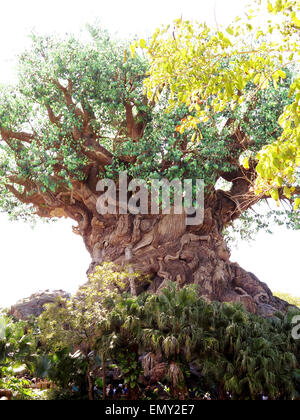 The Animal Kingdom Park at Disney World Theme Park Orlando Florida FL