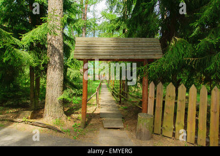 Gate under which there passes a footpath, are located in the wood. Stock Photo
