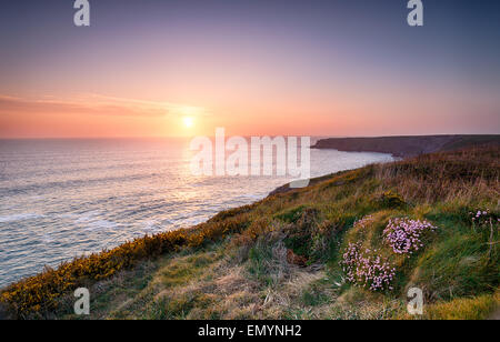 Sunset over the Cornwall coast on the South West Coast Path at Park Head near Porthcothan Stock Photo