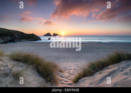 Sunset through the sand dunes at Holywell Bay near Newquay in Cornwall Stock Photo