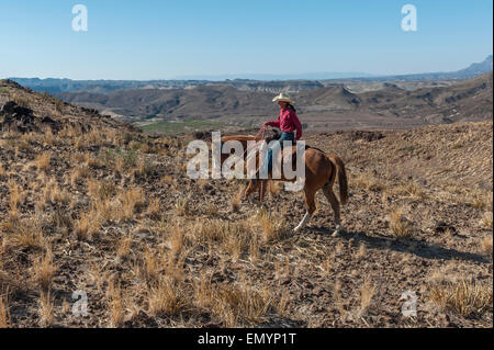 Horseback riding in Big Bend Ranch State Park. Texas. USA Stock Photo