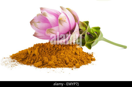 Curcuma flower and  powder isolated on white Stock Photo