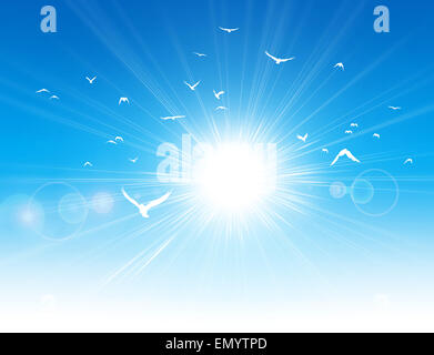 Freedom flight. White birds flight in front of the sunshine in a clear blue sky Stock Photo