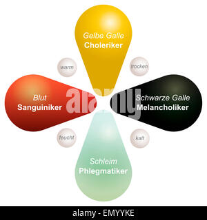 Four temperaments sanguine, choleric, melancholic and phlegmatic with their four humors. GERMAN LABELING! Stock Photo