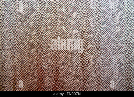 Rough snake skin in a fake form with serated edges Stock Photo