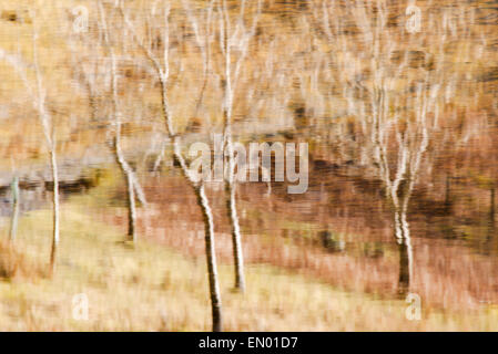 Tree reflections in Watendlath, Lake District, England Stock Photo