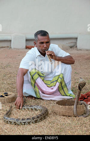 Sri Lanka: snake charmer at Galle Fort Stock Photo