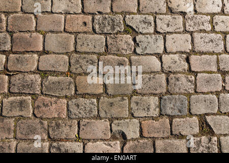 Old cobbled street in The Netherlands. Usable as pattern or background. Stock Photo