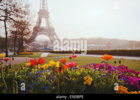 Paris, flowers and Eiffel tower Stock Photo