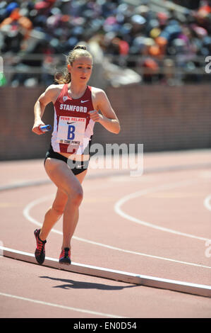 Philadelphia, Pennsylvania, USA. 24th Apr, 2015. A runner from Stanford competing in the CW 4x1500 Championship of America which was held at the historic Franklin Field in Philadelphia Pa Credit:  Ricky Fitchett/ZUMA Wire/Alamy Live News Stock Photo