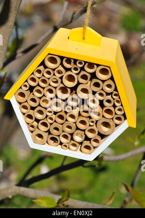 A bee house, a nesting and hibernation box for insects in  garden in south east London, UK Stock Photo